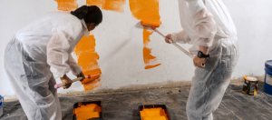 Build it Gansbaai Indoor Paints